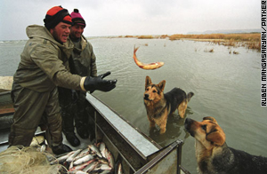 Fishdogs enjoy Armen and Igit's catch